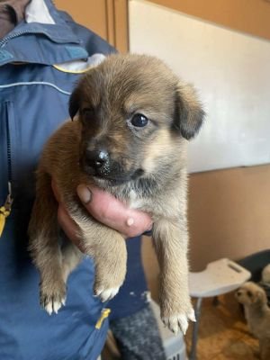 582236562 3293047240850137 2160202957121397155 n