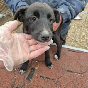 582245896 3225550257599545 1607630457358629037 n