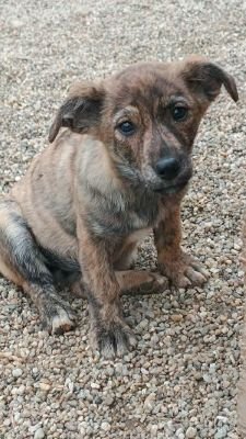 582250704 869483625499939 8567999531961571323 n