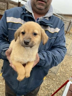 582273092 3542435432564795 9123932670958232342 n