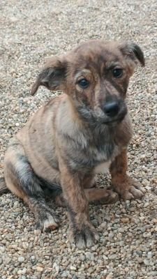 582323689 3753327418297540 2656656415967539456 n