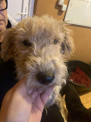 582330866 1508768733678122 1655972666033884156 n