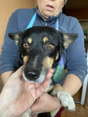 582412921 25202745942699328 6526033071428219569 n