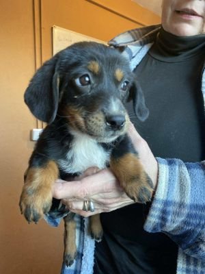 582415099 1092878359417215 2598734212691951799 n