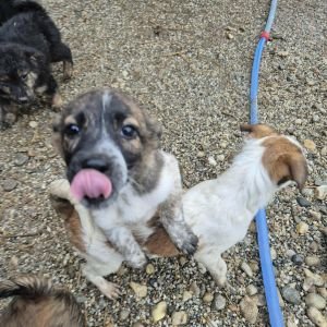 582443135 3235458879950037 6559376496906482218 n