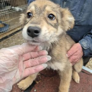 582536379 1187372453324281 5961000007232815613 n