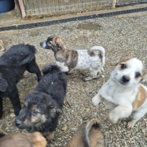 582557395 1367460931563519 313555358567354859 n