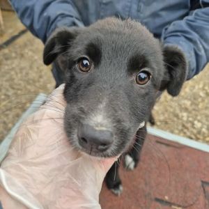 582591736 1700679604652137 3352992469294195163 n