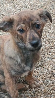 582600031 1718326825530368 6126406670146827936 n