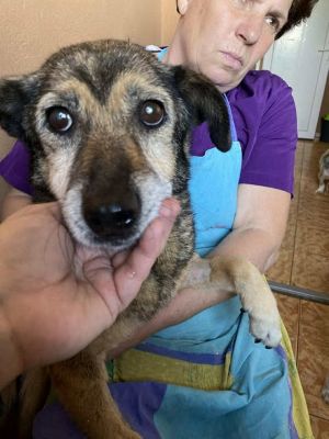 582612909 25203037946003461 4934368235604529381 n