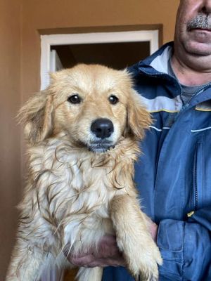 582640118 25194540863519836 4368804872921375641 n