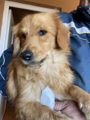 582704306 25194600936847162 8989867431081457814 n