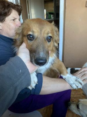 582752589 25202868902687032 3208944629298928095 n