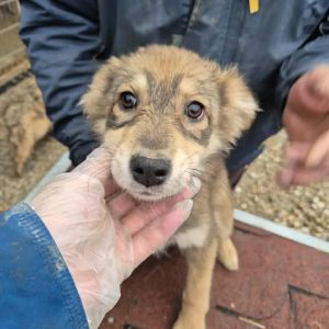 582768069 2116524655548889 1885116363480574687 n