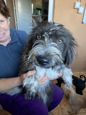 582832747 25202949689345620 6267665921033801768 n