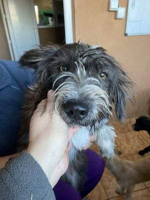 583030856 25202949369345652 6992318540222388295 n