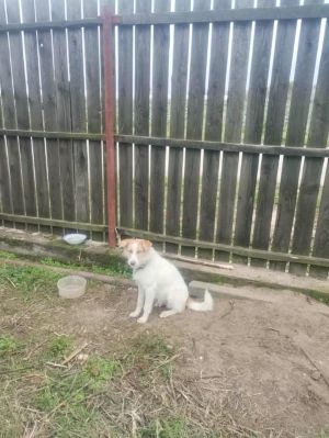 583288121 25245309708442951 7628130561660734001 n