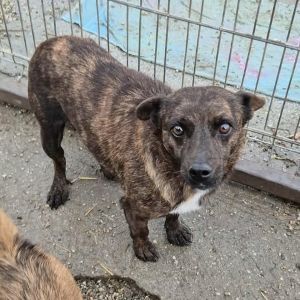 583295193 25245765271730728 4140829304598399810 n