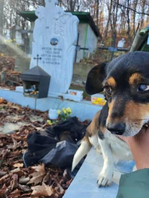 583329543 25245694175071171 8951792928517438912 n