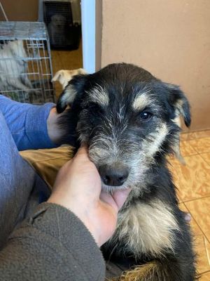 583330018 25245397771767478 6740969207120434612 n