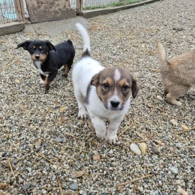 583750737 2107983003068420 6533163855823321717 n