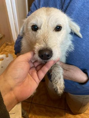 583855624 25245442331763022 3195140118889205171 n