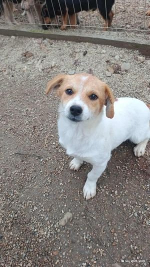 583873195 3233300416835647 4526677894598965142 n