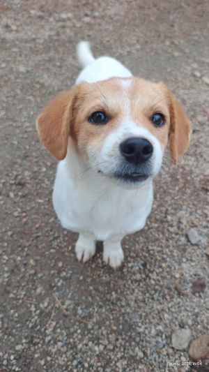 584007169 3233300586835630 8700435861314174172 n