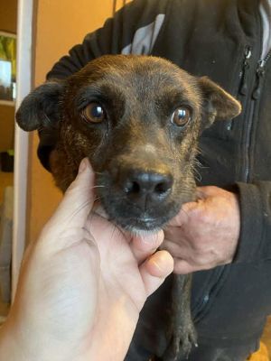 584096520 25245627605077828 2223399773829997997 n