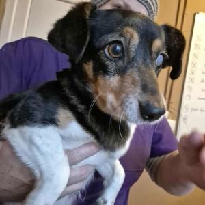 584295431 25245693628404559 5282367374752009517 n