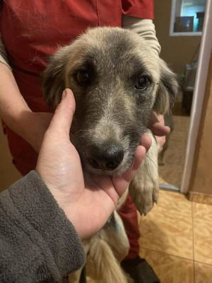 584319116 25244928405147748 6900561746935974169 n