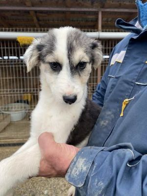 584508836 25244823828491539 5545914109468798288 n