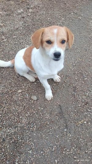 584527712 3233300513502304 4852189410630924229 n