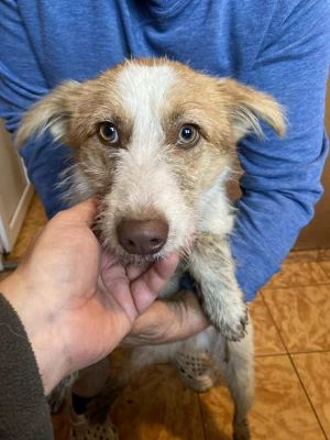 584751366 25245309661776289 2179265565813833094 n