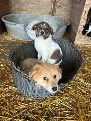 584836014 25273993488907906 2062412887588427161 n