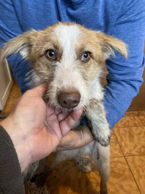 584901059 25245309031776352 3881021630867059331 n