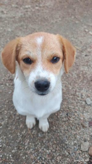 584913337 3233300413502314 7103634915714581109 n