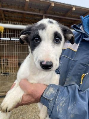 584956279 25244882161819039 7875687016264725631 n