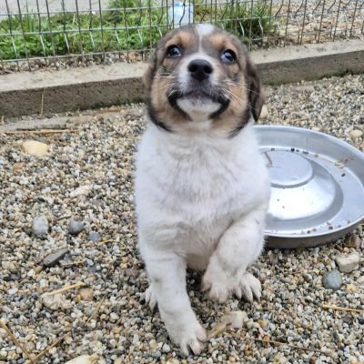 584967630 2107982796401774 7056309166108842096 n