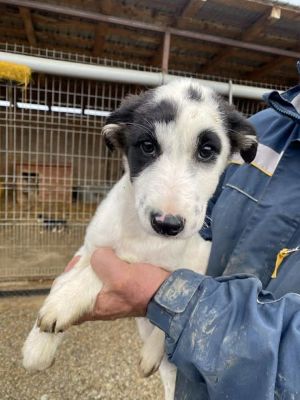 584992331 25244881998485722 4288981077291058580 n