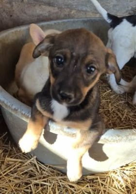 585010825 2560206741003245 3598878642892448598 n