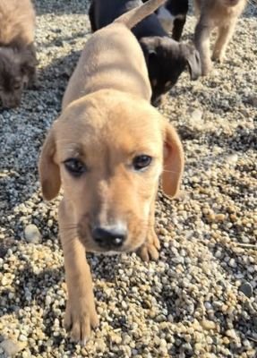 585154679 686550777616105 5163435790207507062 n