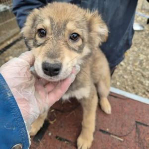 585213703 1349399060006036 2479116604448833369 n