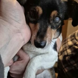 585363816 25245694188404503 1106556260998307967 n