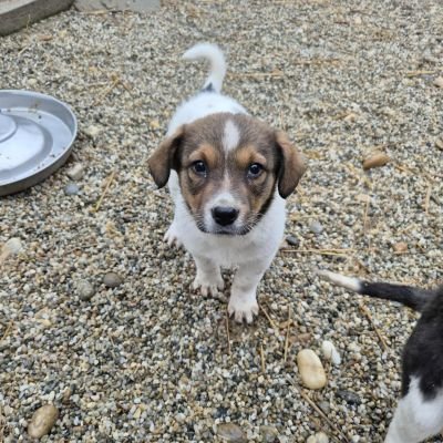 585368299 2107982706401783 5145393474139932715 n