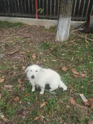 585387072 25245478601759395 1014887219601080098 n