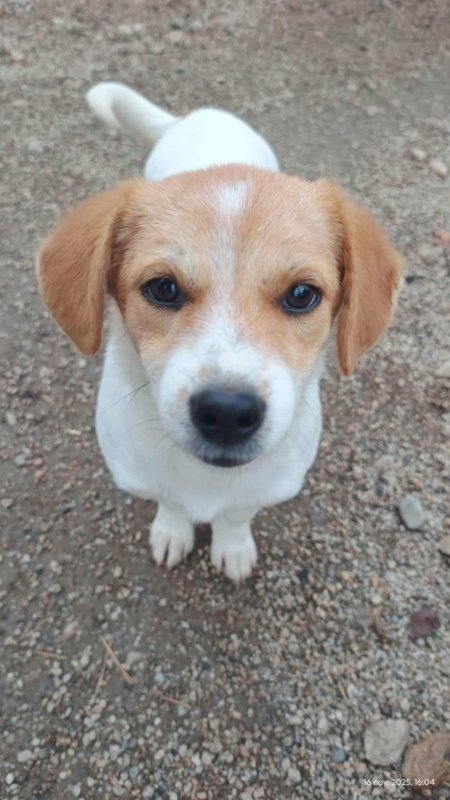 585473975 3233300706835618 3151834783948282807 n