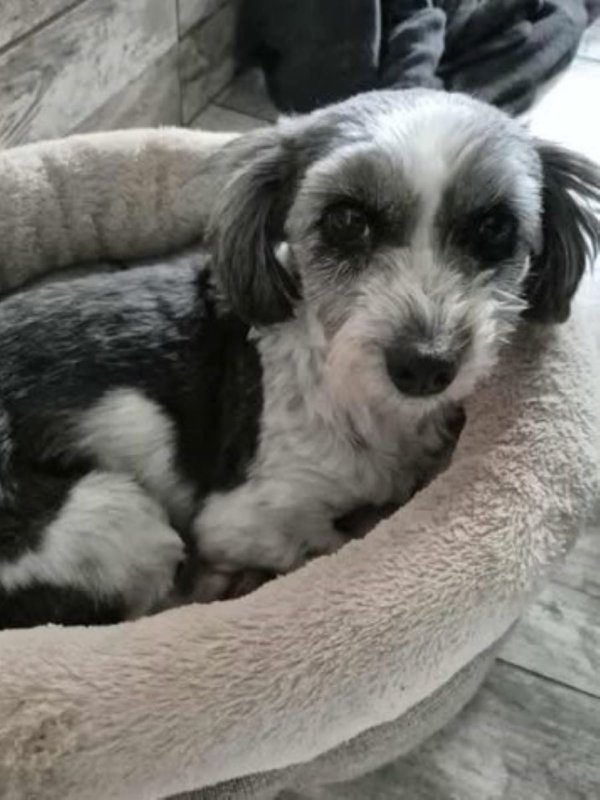 585481970 2681369835580835 528163546814896585 n