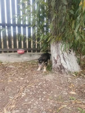 585521463 25245398188434103 5420358081852404611 n