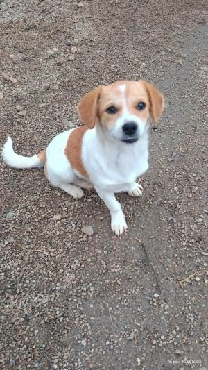 585549893 3233300420168980 3266395610066654793 n